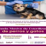 Chiautempan, sede de Jornada Nacional de Esterilización para Perros y Gatos