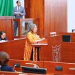 Urge crear reglamentos de bienestar animal