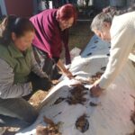 CAPACITACIÓN PARA MUJERES CAÍTALINAS CON CURSO DE HUERTOS FAMILIARES