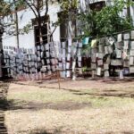 “PaZarte” REÚNE CREATIVIDAD DE LAS INFANCIAS Y JUVENTUDES DE MICHOACÁN