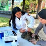 CONTINUIDAD A CAMPAÑA ANTIRRÁBICA PARA MASCOTAS QUE NO FUERON VACUNADAS EN MARZO