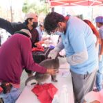 NUEVA CAMPAÑA GRATUITA DE ESTERILIZACIÓN Y VACUNACIÓN CANINA Y FELINA EN LA CAPITAL