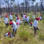 Se suma Por Una Causa Verde en Común a la segunda Jornada de Reforestación en Tlacuilohcan.