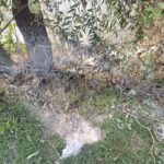 DENUNCIA POR VERTIMIENTO IRREGULAR DE RESIDUOS EN EL RÍO ZAHUAPAN